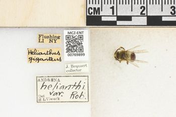 Media type: image;   Entomology 769899 Aspect: Labels